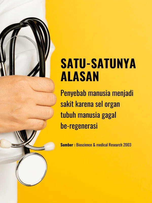 obat diabetes alami adalah biodaizu