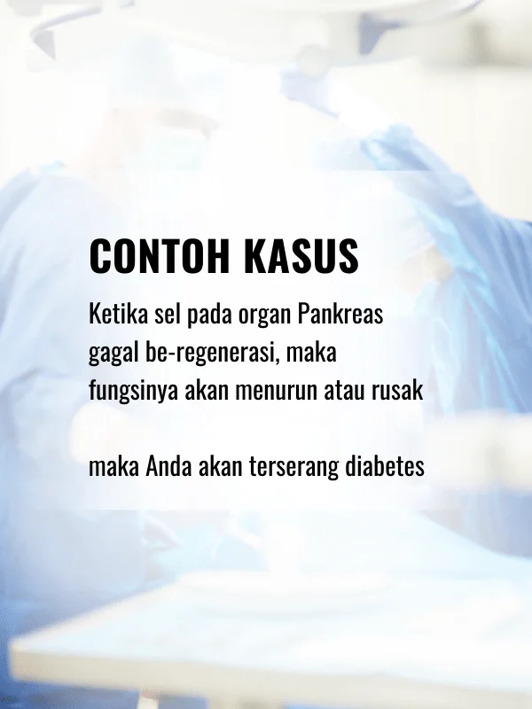 obat diabetes alami adalah biodaizu